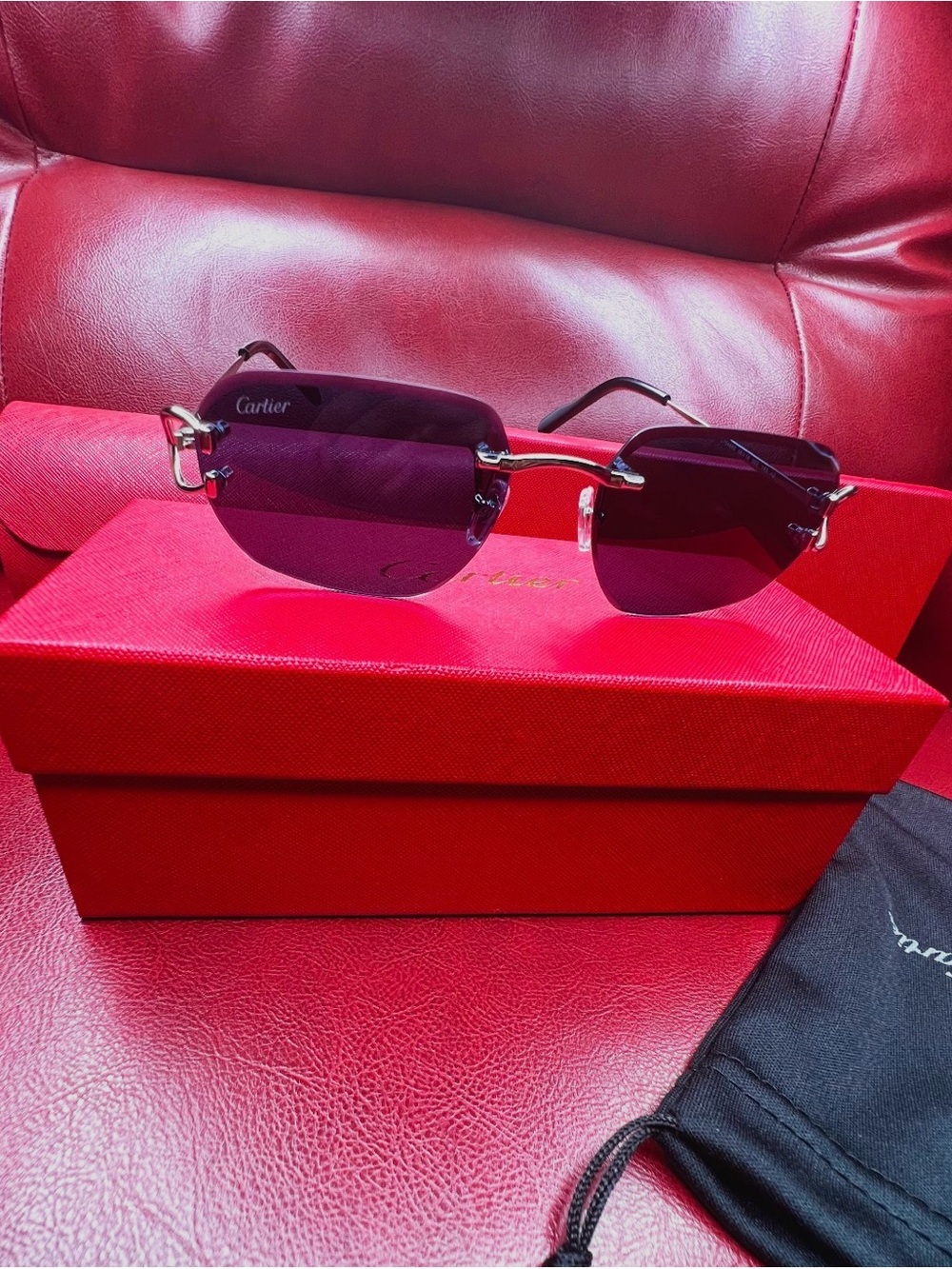 Cartier Sunglasses Navy Blue/Silver